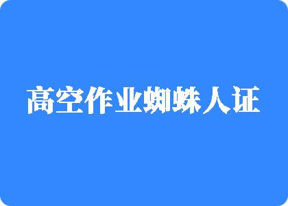 动漫C屄视频高空作业蜘蛛人证